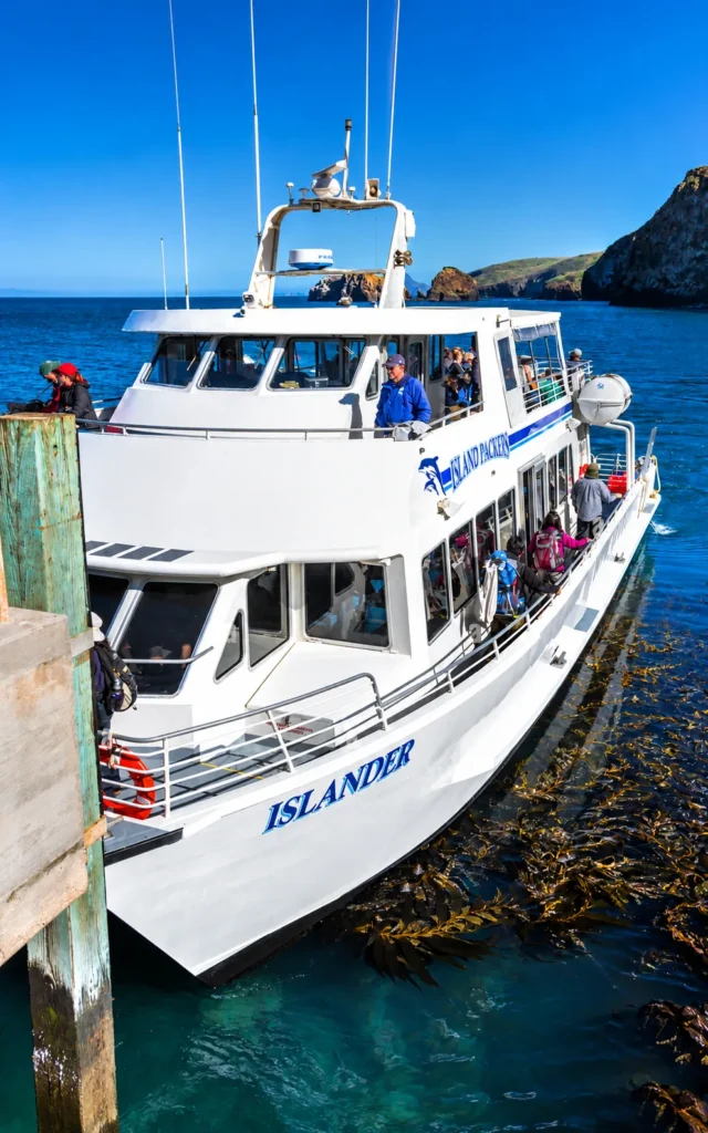 Islander Along the Rugged Coast
